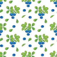 Pattern with blueberries on white background, hand drawn, set of berries and leaves of bright summer color. vector