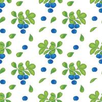 Pattern with blueberries on white background, hand drawn, set of berries and leaves of bright summer color. vector