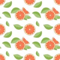 Pattern of fresh grapefruit slices and green leaves on a white background, hand drawn sketch. vector