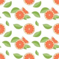 Pattern of fresh grapefruit slices and green leaves on a white background, hand drawn sketch. vector