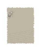 Digital scrapbooking element old vintage paper with Lorem ipsum text and beetle stamp, for vintage collage design. vector