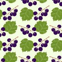 Black currant seamless pattern. Collection of berries. Vector illustration of berries for design menus, recipes and packages product.