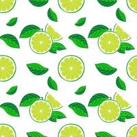 Seamless pattern of freshly sliced Limes and green leaves on white background. vector
