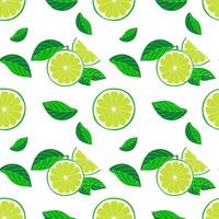 Seamless pattern of freshly sliced Limes and green leaves on white background. vector