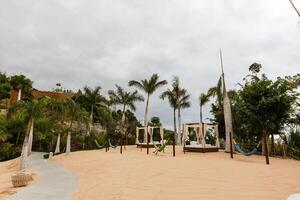 view of nice straw hammock on the tropic beach photo