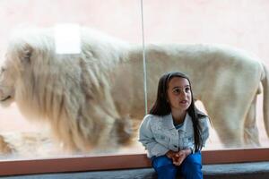 pequeño niña y león detrás vaso a el zoo foto