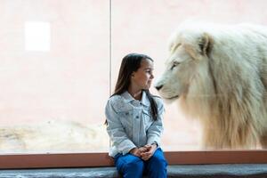 pequeño niña y león detrás vaso a el zoo foto