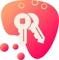 Keys Vector Icon