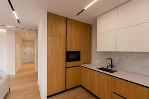 Beautiful Modern Kitchen in a Luxury Apartment photo