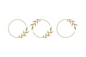 Gold logo tropical palm leaf. Round frame in minimal linear vector design template