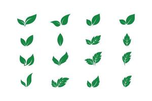 set of green leaves icon vector design template, leaf icon set collection