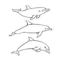 conjunto de delfines. ilustración dibujada a mano convertida en vector. vector con animal bajo el agua.