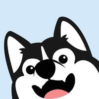 Funny siberian husky dog face, vector illustration