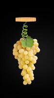 a bunch of grapes hanging from a wooden hook photo