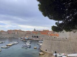 a view of the harbor from the top of a tower photo