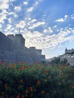 the walled city of dubrovnik photo