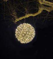 a lighted ball hanging from a tree branch photo