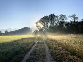 misty morning in the field photo