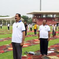 nuevo Delhi, India, junio 21, 2023 - grupo yoga ejercicio sesión para personas a yamuna Deportes complejo en Delhi en internacional yoga día, grande grupo de adultos asistiendo yoga clase en Grillo estadio foto