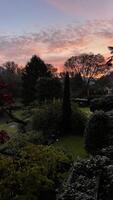 un hermosa puesta de sol terminado un jardín foto