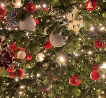 un Navidad árbol con muchos adornos en eso foto