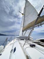 a sailboat with a sail and a white sail photo