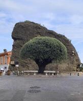 a large rock formation with green tree photo