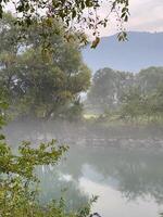 a river with trees in the background photo