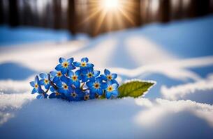 AI generated Bouquet of blue flowers, forget-me-nots in the snow photo