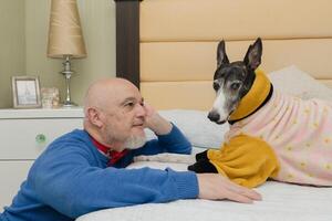 Affectionate Bond, Mature Man and His Greyhound Enjoy Playtime photo