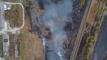 aéreo ver de incendio forestal, extensión llamas de bosque fuego. natural desastre debido a extremo calor y clima cambio video