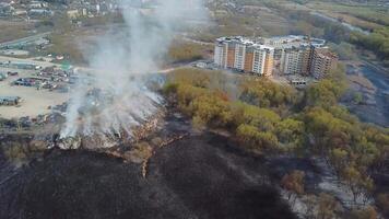 antenn se av stor rök moln och brand på de fält. stänga upp se av löpeld, spridning lågor av skog brand video