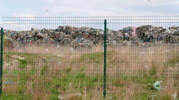 Aerial view of city dump. A huge garbage dump. Birds circling over the garbage. Time lapse video