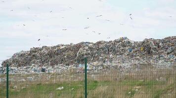 Vögel kreisen Über das Müll. Stadt entsorgen. ein enorm Müll Dump video