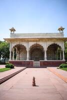 arquitectónico detalles de lal qila - rojo fuerte situado en antiguo Delhi, India, ver dentro Delhi rojo fuerte el famoso indio puntos de referencia foto