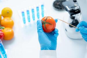 el científico comprueba los residuos de alimentos químicos en el laboratorio. expertos en control inspeccionan la calidad de frutas, verduras. laboratorio, peligros, rohs, encontrar sustancias prohibidas, contaminar, microscopio, microbiólogo foto