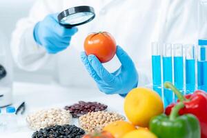 Scientist check chemical food residues in laboratory. Control experts inspect quality of fruits, vegetables. lab, hazards, ROHs, find prohibited substances, contaminate, Microscope, Microbiologist photo