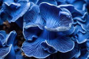 AI generated Intriguing Blue mushroom closeup background. Generate Ai photo