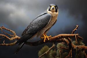 AI generated Perched Peregrine falcon sitting on tree branch. Generate ai photo