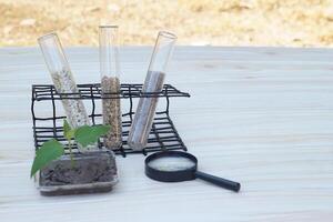 Test tubes that contain sample soil. Concept, soil quality inspection, research and science experiment. Laboratory. Find the best from different soil type and source for growing agriculture crops photo