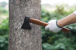 Closeup hand holds wooden handle axe to cut tree. Concept, . Manual tool for carpenter and lumberjack, woodcutter. Weapon. Bring down tree. Destroy forest. Deforestation. photo