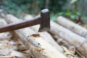 Old axe cut wood. concept, Carpentry tool or equipment for construction. Use axe to cut trees. Deforestation. photo