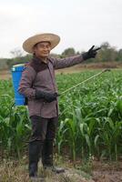 asiático hombre granjero lleva azul rociador en espalda a rociar orgánico fertilizantes en maíz jardín, punto dedos para añadir texto o anuncio publicitario. concepto, agricultura ocupación. tailandés granjero estilo de vida. foto