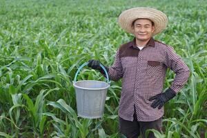 Handsome Asian man farmer, wears hat, brown plaid shirt, holds bucket to fertilize maize plants in garden, put hand on hip. Concept, agriculture occupation. take care and treatment after growing crops photo