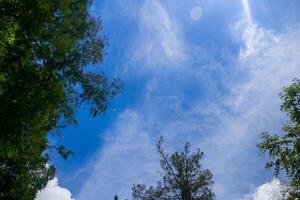 Tropical rain forest in southeast Asia  with blue sky background photo