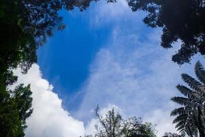 tropical lluvia bosque en Sureste Asia con azul cielo antecedentes foto