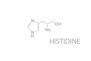 histidina molecular esquelético químico fórmula vector