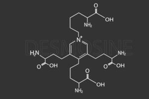 Desmosine molecular skeletal chemical formula vector