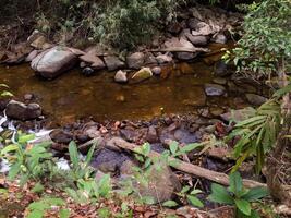 waterfall in nature forest at Thailand photo