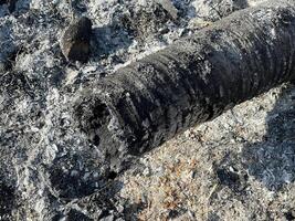 a burnt out tube of wood on a rocky ground photo